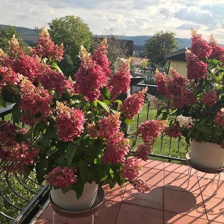 Haus Buena Vista Hotel Bad Kissingen Luaran gambar