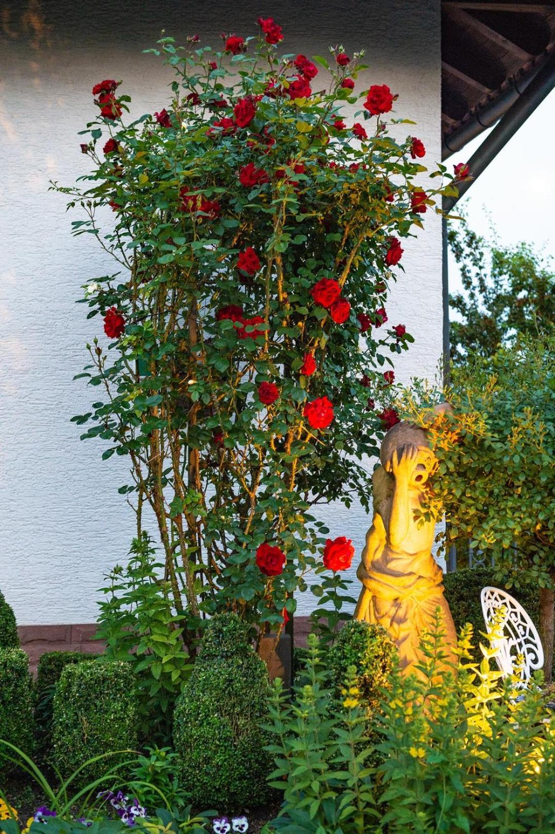Haus Buena Vista Hotel Bad Kissingen Luaran gambar